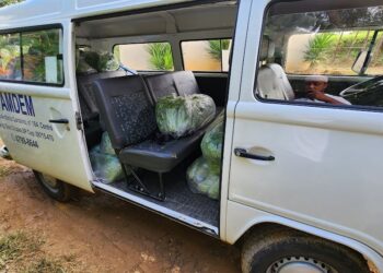 Doações / Hortaliças